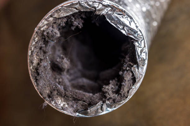 Best Home Air Vent Cleaning  in Nags Head, NC